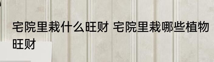 宅院里栽什么旺财 宅院里栽哪些植物旺财