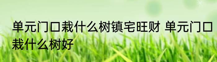 单元门口栽什么树镇宅旺财 单元门口栽什么树好