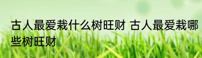 古人最爱栽什么树旺财 古人最爱栽哪些树旺财