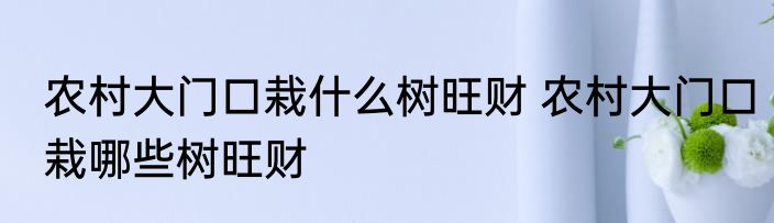 农村大门口栽什么树旺财 农村大门口栽哪些树旺财