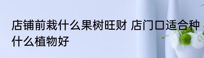 店铺前栽什么果树旺财 店门口适合种什么植物好