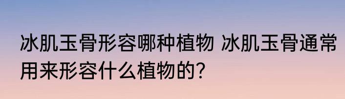 冰肌玉骨形容哪种植物 冰肌玉骨通常用来形容什么植物的？