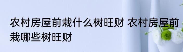 农村房屋前栽什么树旺财 农村房屋前栽哪些树旺财