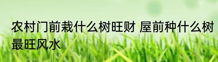 农村门前栽什么树旺财 屋前种什么树最旺风水