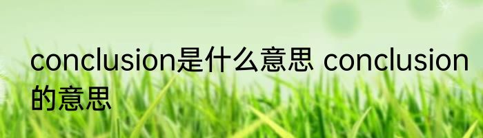 conclusion是什么意思 conclusion的意思