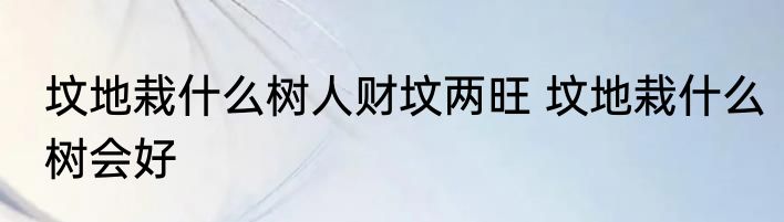 坟地栽什么树人财坟两旺 坟地栽什么树会好