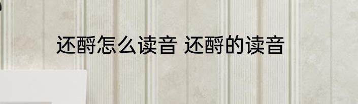 还酹怎么读音 还酹的读音