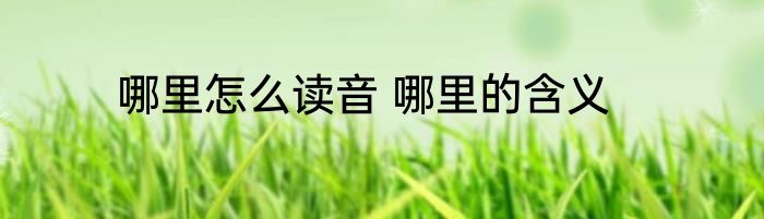 哪里怎么读音 哪里的含义