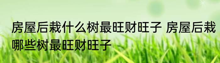 房屋后栽什么树最旺财旺子 房屋后栽哪些树最旺财旺子