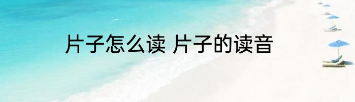 片子怎么读 片子的读音
