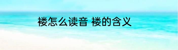 褛怎么读音 褛的含义