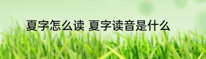 夏字怎么读 夏字读音是什么