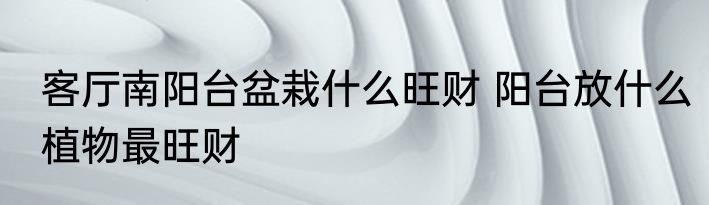 客厅南阳台盆栽什么旺财 阳台放什么植物最旺财