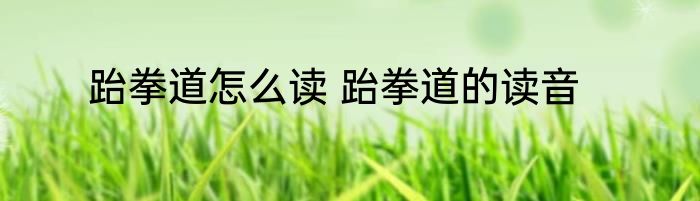 跆拳道怎么读 跆拳道的读音