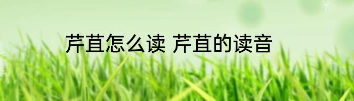 芹苴怎么读 芹苴的读音