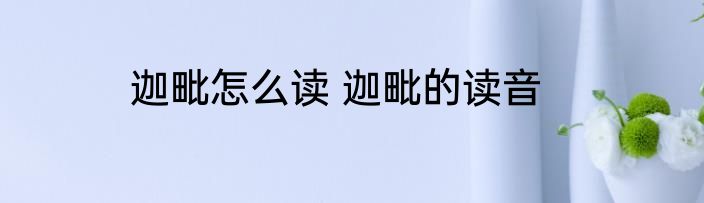 迦毗怎么读 迦毗的读音