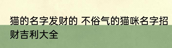 猫的名字发财的 不俗气的猫咪名字招财吉利大全