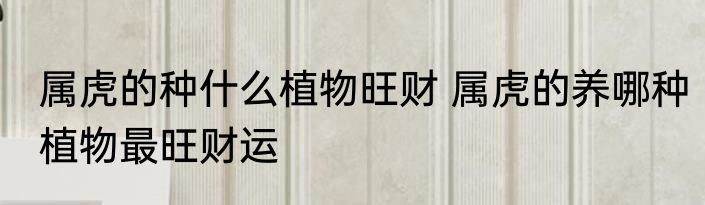 属虎的种什么植物旺财 属虎的养哪种植物最旺财运