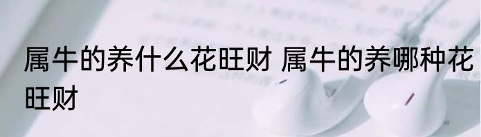 属牛的养什么花旺财 属牛的养哪种花旺财