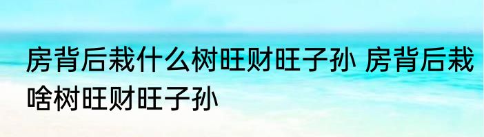 房背后栽什么树旺财旺子孙 房背后栽啥树旺财旺子孙