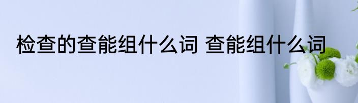 检查的查能组什么词 查能组什么词