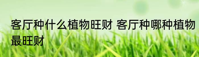 客厅种什么植物旺财 客厅种哪种植物最旺财
