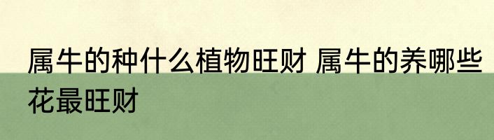 属牛的种什么植物旺财 属牛的养哪些花最旺财