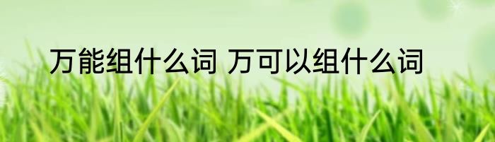 万能组什么词 万可以组什么词