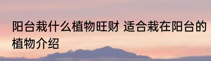 阳台栽什么植物旺财 适合栽在阳台的植物介绍