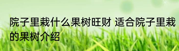 院子里栽什么果树旺财 适合院子里栽的果树介绍