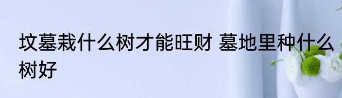坟墓栽什么树才能旺财 墓地里种什么树好