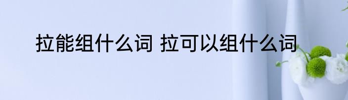 拉能组什么词 拉可以组什么词