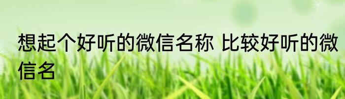 想起个好听的微信名称 比较好听的微信名