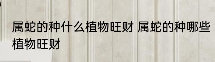 属蛇的种什么植物旺财 属蛇的种哪些植物旺财