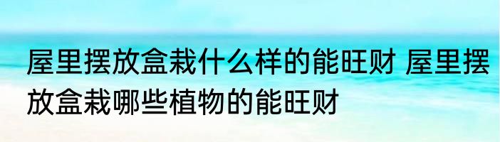 屋里摆放盒栽什么样的能旺财 屋里摆放盒栽哪些植物的能旺财