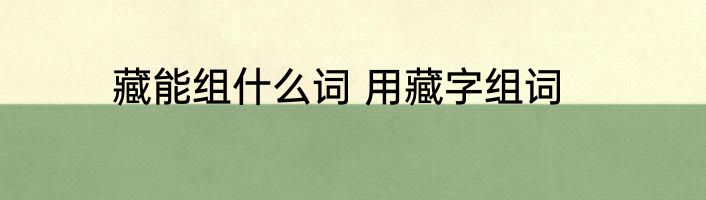 藏能组什么词 用藏字组词
