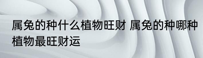 属兔的种什么植物旺财 属兔的种哪种植物最旺财运