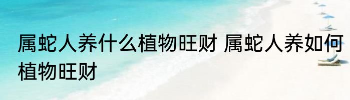 属蛇人养什么植物旺财 属蛇人养如何植物旺财