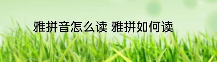 雅拼音怎么读 雅拼如何读