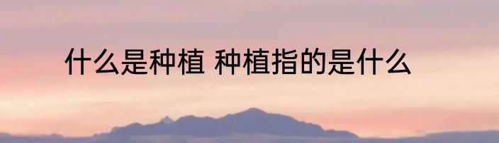 什么是种植 种植指的是什么