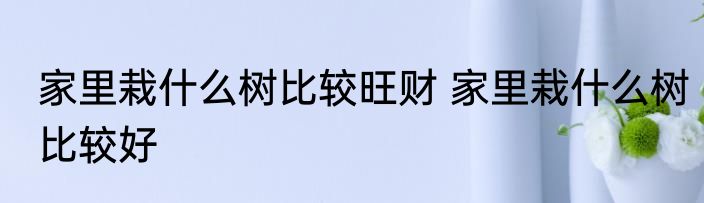 家里栽什么树比较旺财 家里栽什么树比较好