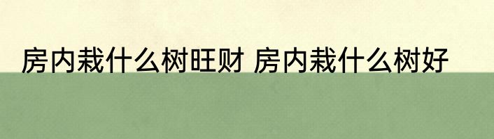 房内栽什么树旺财 房内栽什么树好