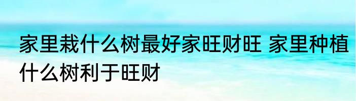 家里栽什么树最好家旺财旺 家里种植什么树利于旺财