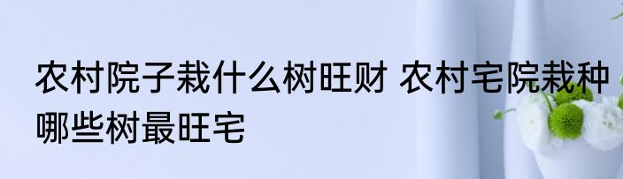农村院子栽什么树旺财 农村宅院栽种哪些树最旺宅