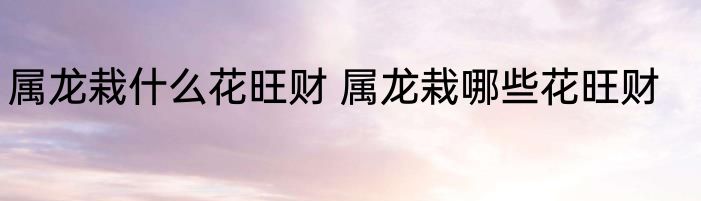 属龙栽什么花旺财 属龙栽哪些花旺财