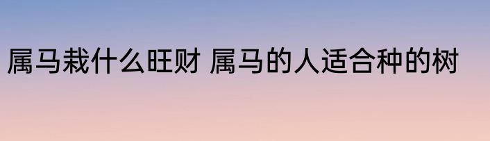 属马栽什么旺财 属马的人适合种的树