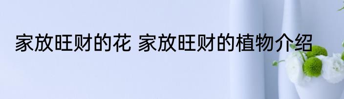 家放旺财的花 家放旺财的植物介绍