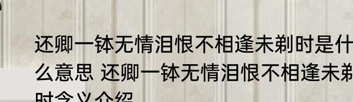 还卿一钵无情泪恨不相逢未剃时是什么意思 还卿一钵无情泪恨不相逢未剃时含义介绍