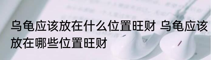乌龟应该放在什么位置旺财 乌龟应该放在哪些位置旺财