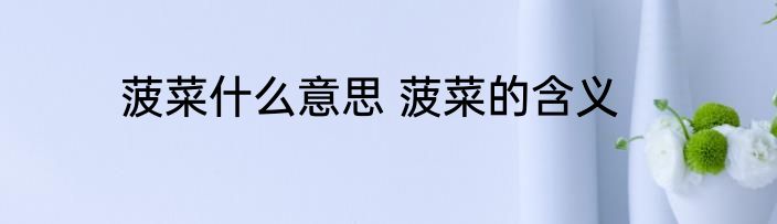 菠菜什么意思 菠菜的含义